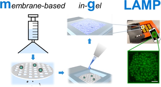 Research figure